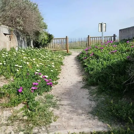 Mas Boucard II : Plage Cour Et Parking Prives Frontignan Exterior foto